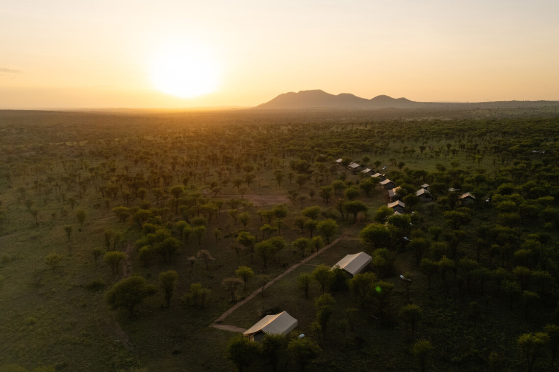 Where to Stay in Serengeti for the Great Migration: The Complete Accommodation Guide