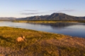 Affordable accommodation near Mana Pools National Park