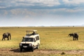 Best African countries to visit in 2026