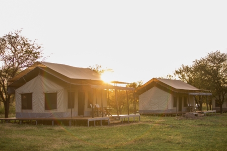 Where to Stay in Serengeti for the Great Migration